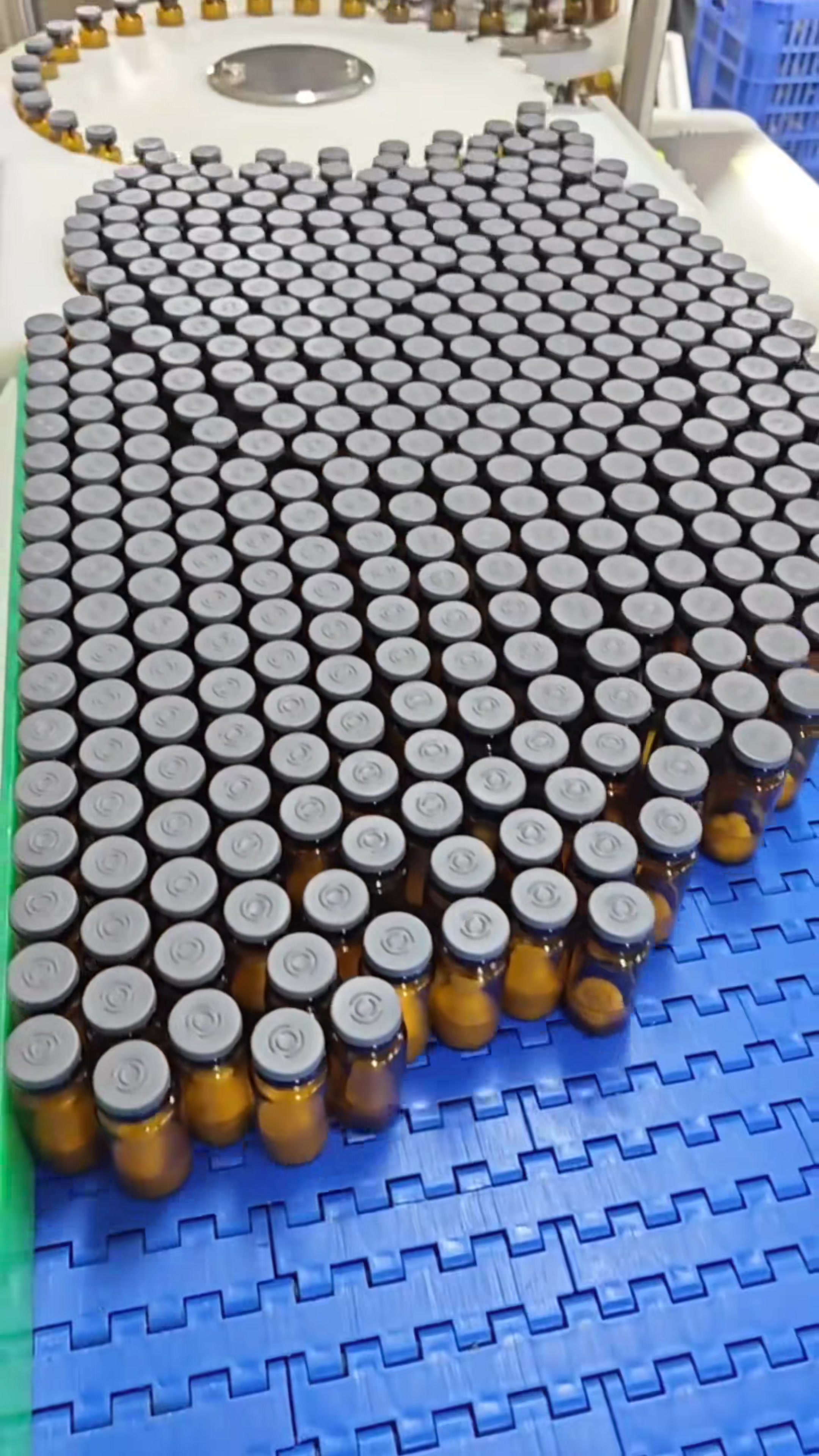 Vials arranged on the packaging line